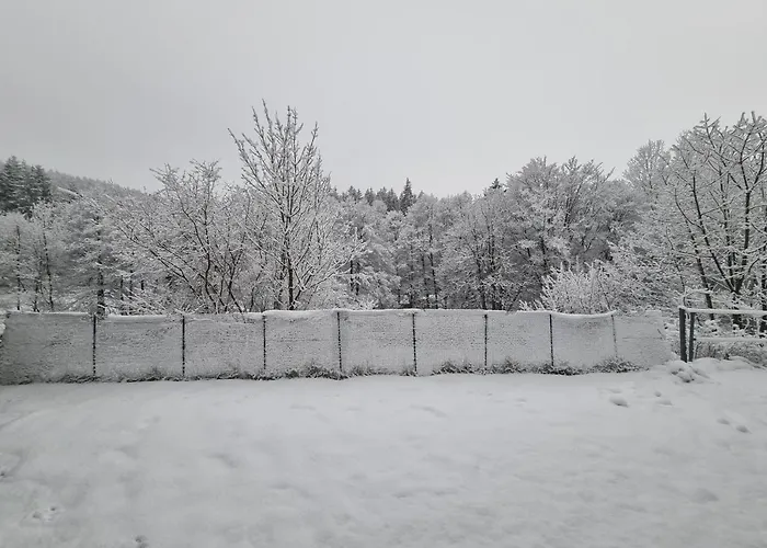 Ferienwohnung Schneeberg