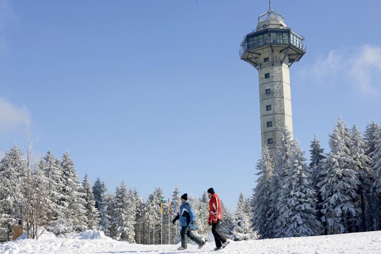 Schneeberg Apartment Willingen (Upland)