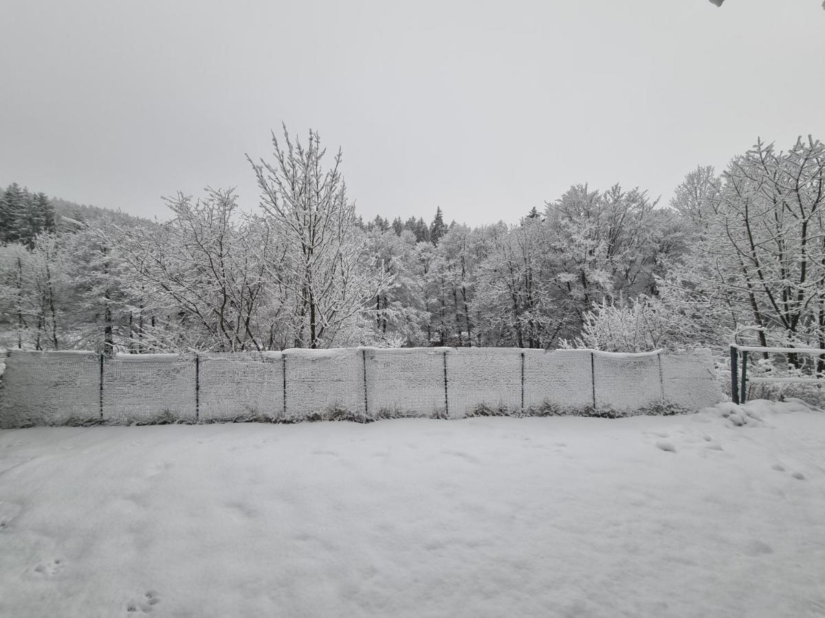 Schneeberg Willingen (Upland)